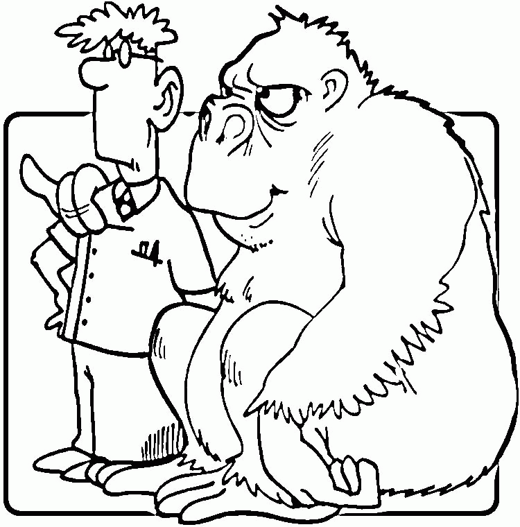 Gorilla and Vet Coloring Online | Super Coloring