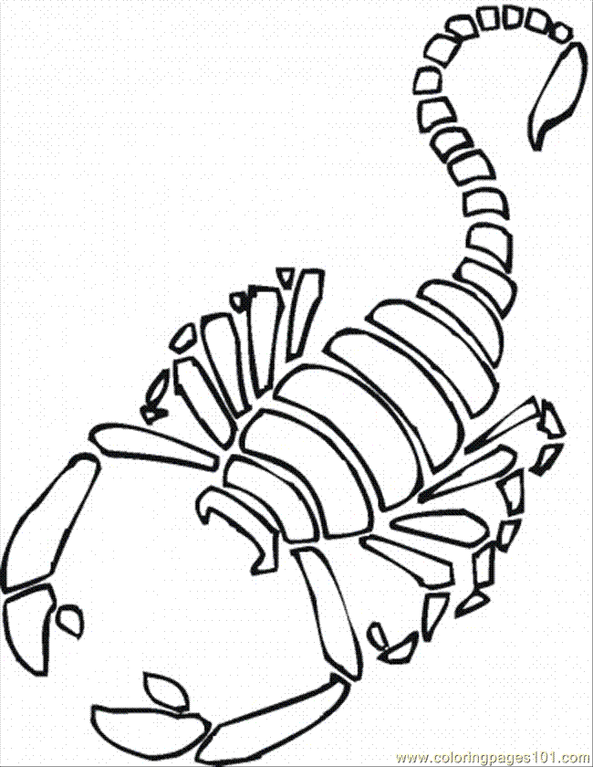 Coloring Pages Scorpion 7 (Animals > Arachnids) - free printable 