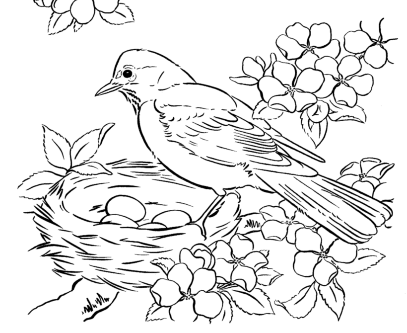 Spring Scenes Coloring Page 21 - Spring Robin Coloring Sheets 