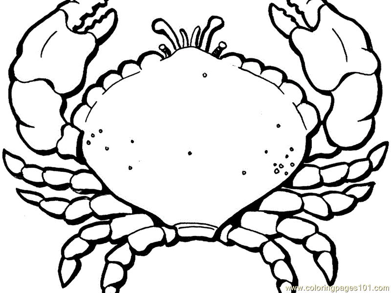 Lobster Pictures For Kids Coloring Home