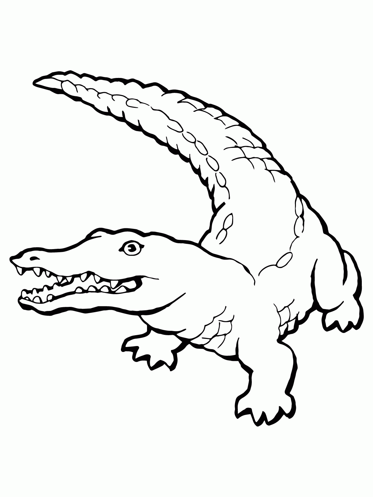 Crocodile Drawings For Kids Coloring Page