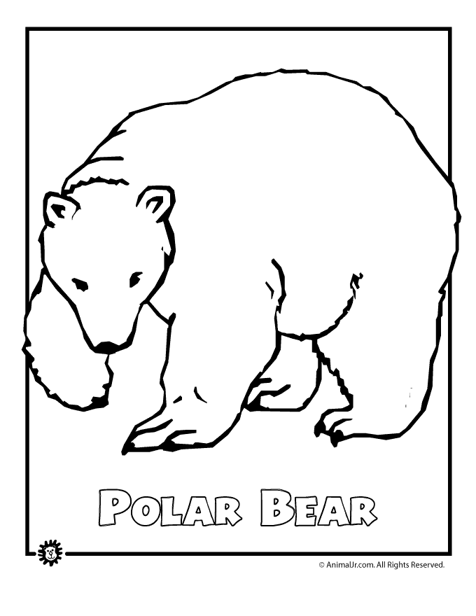Arctic Animals Pictures Coloring Pages 3
