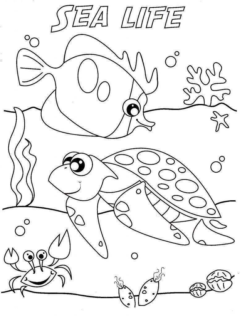 Sea Life Coloring Pages ⋆ coloring.rocks! | Turtle coloring pages, Animal coloring  pages, Ocean coloring pages