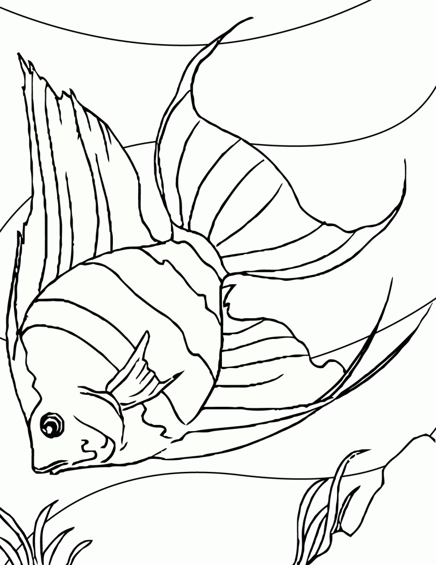 Printable 28 Tropical Fish Coloring Pages 5107 - Fish Coloring ...
