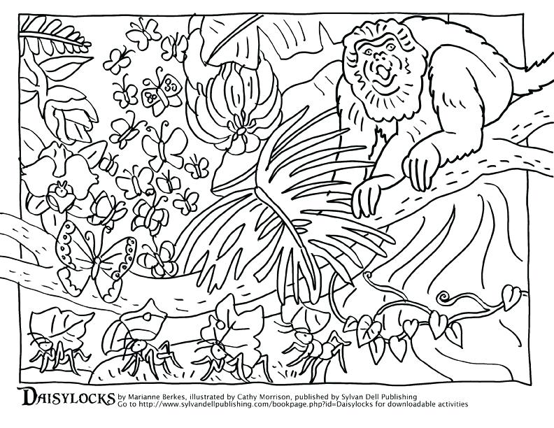 Animal Camouflage Coloring Pages Printable - Coloring Walls - Coloring Home