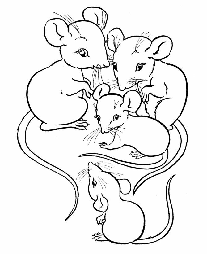 Free Printable Mouse Coloring Pages For Kids | Farm animal coloring pages,  Animal coloring pages, Horse coloring pages