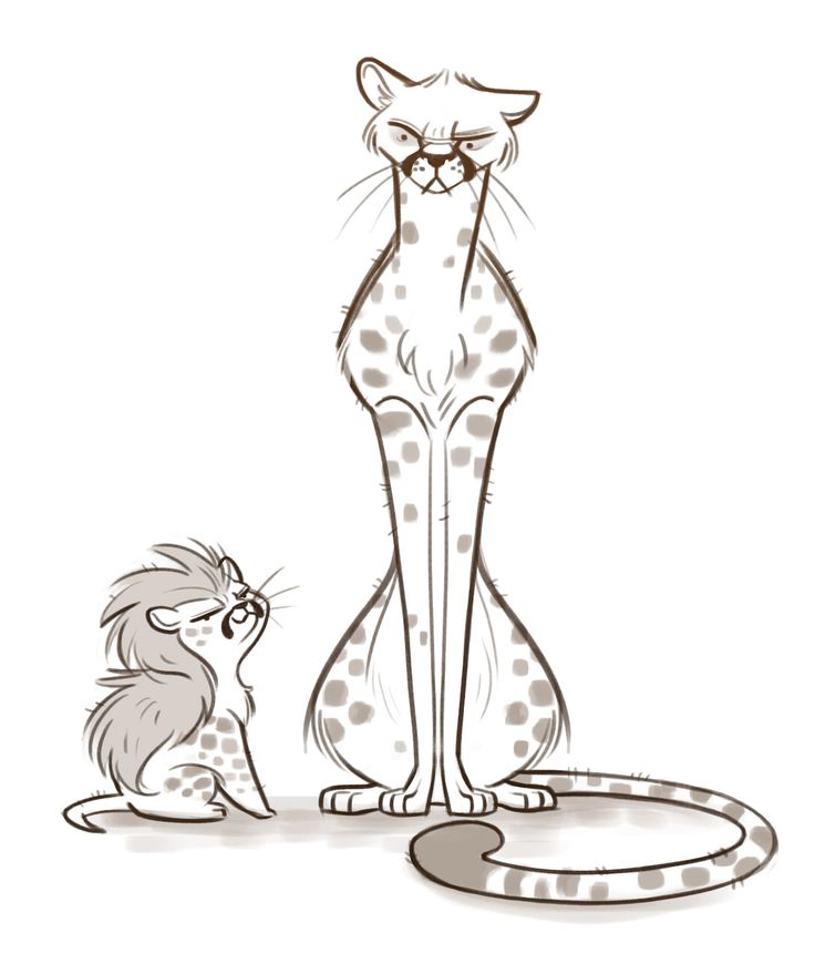 1000+ ideas about Baby Cheetahs on Pinterest | Cheetahs, Big cats ...