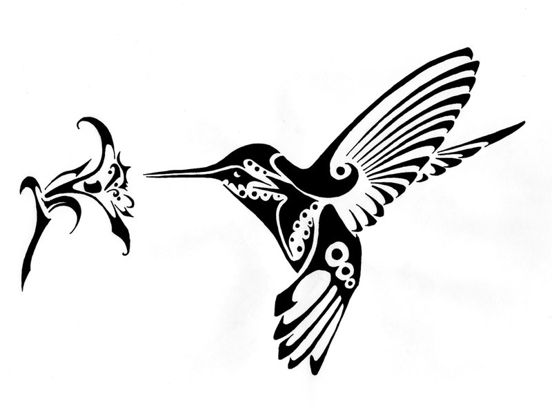Hummingbird Cartoon Images | Free Download Clip Art | Free Clip ...