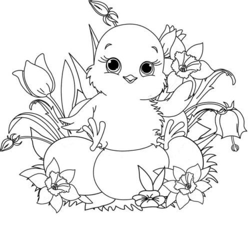 Download Easter Chicken Coloring Pages Coloring Home