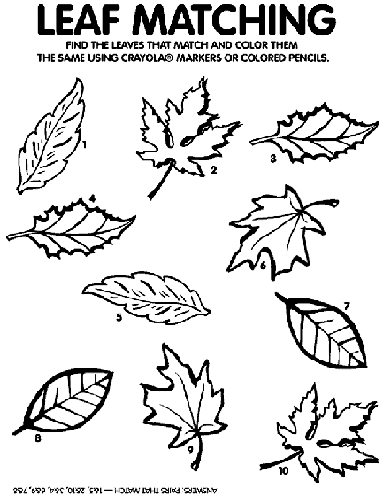 Leaf Matching Game Coloring Page ...crayola.com