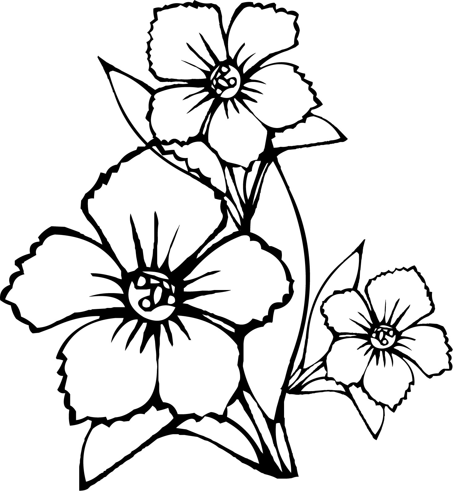 Beautiful Flower Coloring Pages To Print   Coloring Pages For All ...