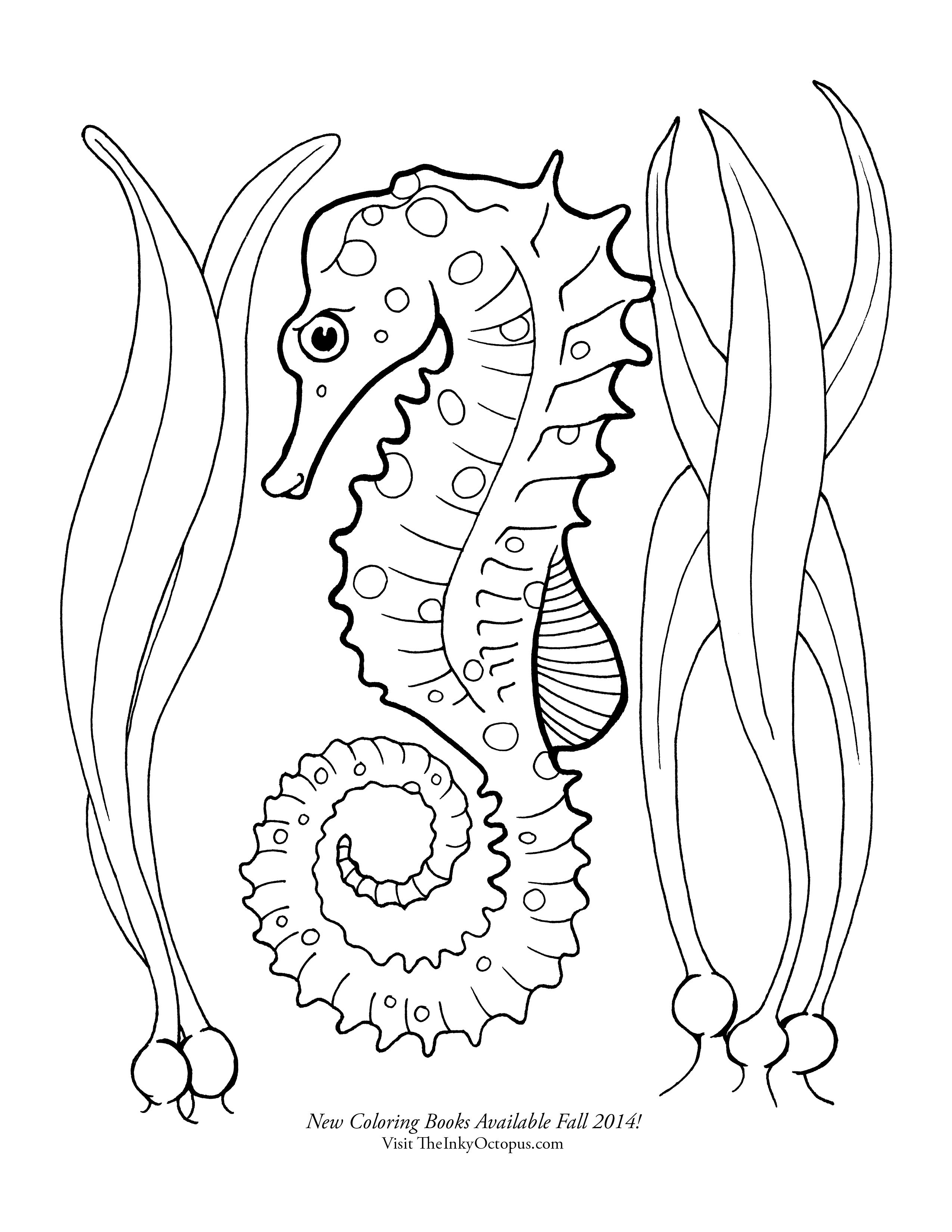 seahorse coloring page - Google Search | Butterfly coloring page ...