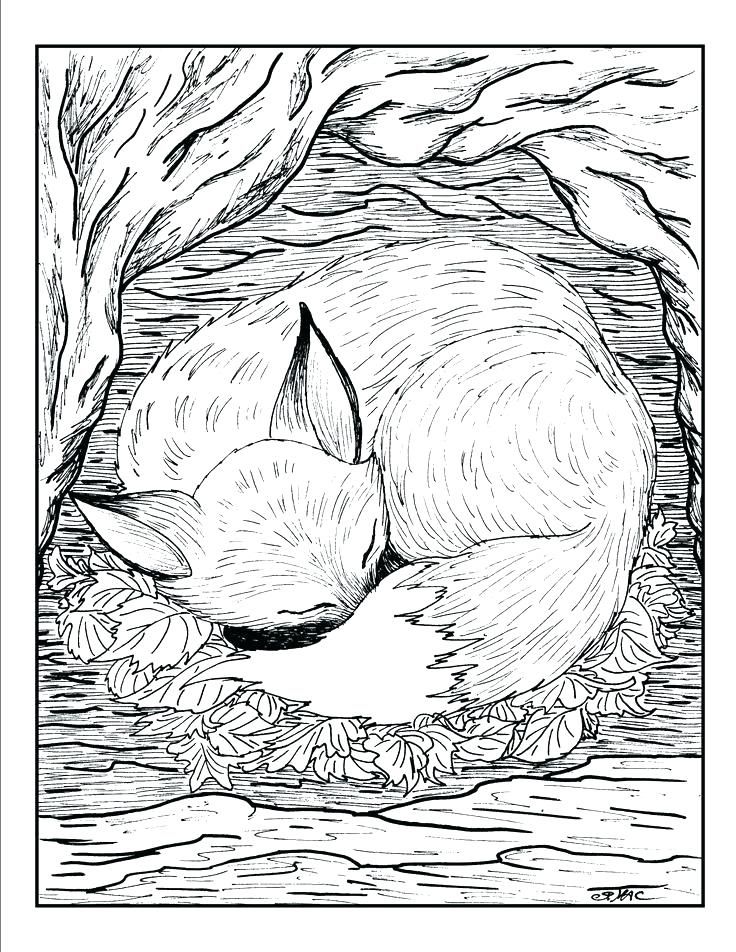 Fresh Coloring Pages Realistic Animals Download | Fox coloring ...