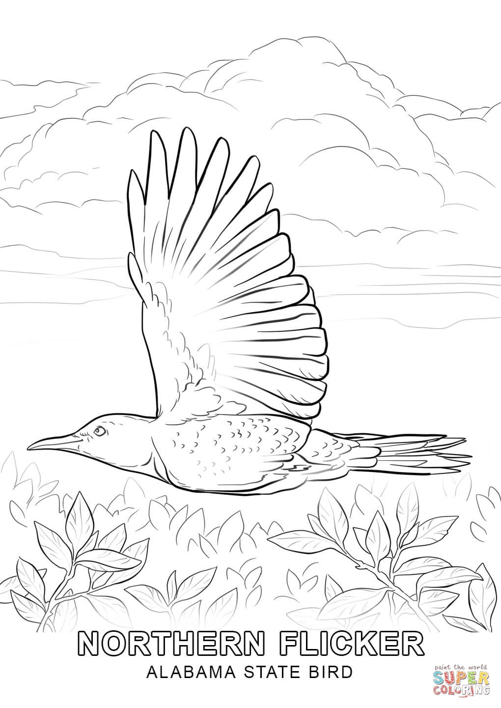Alabama State Bird coloring page | Free Printable Coloring Pages