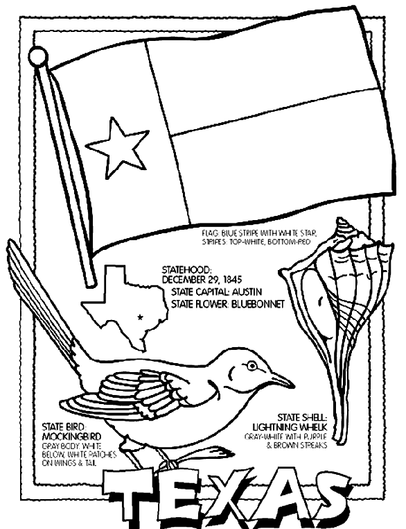 Texas State Flag and Symbols Coloring Page