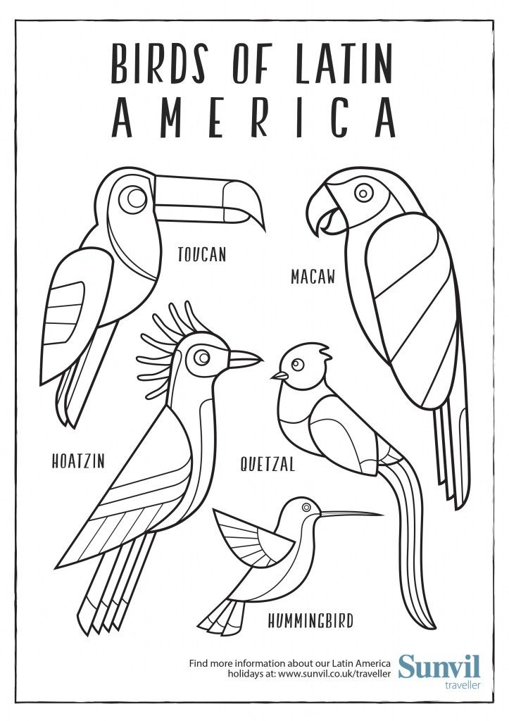 Birds-of-Latin-America-Ilustrations | Latin america, Back to school art, Coloring  pages
