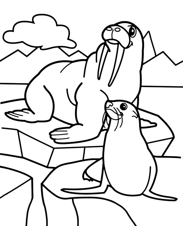 Printable walrus & seal coloring page