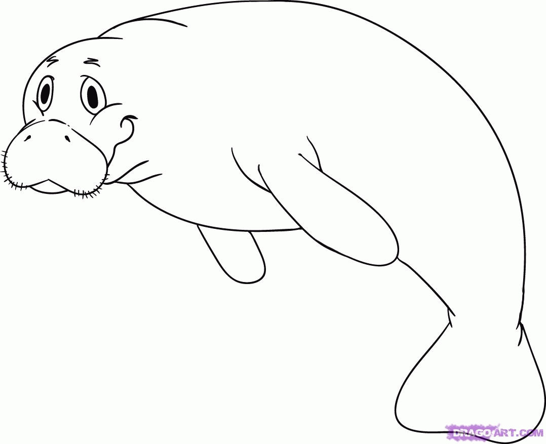manatee coloring pages