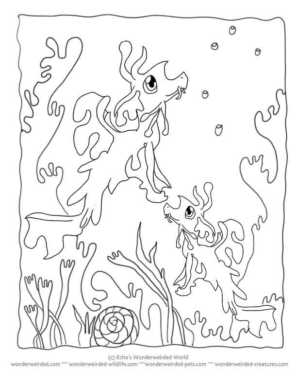 Camouflage Pattern Coloring Page