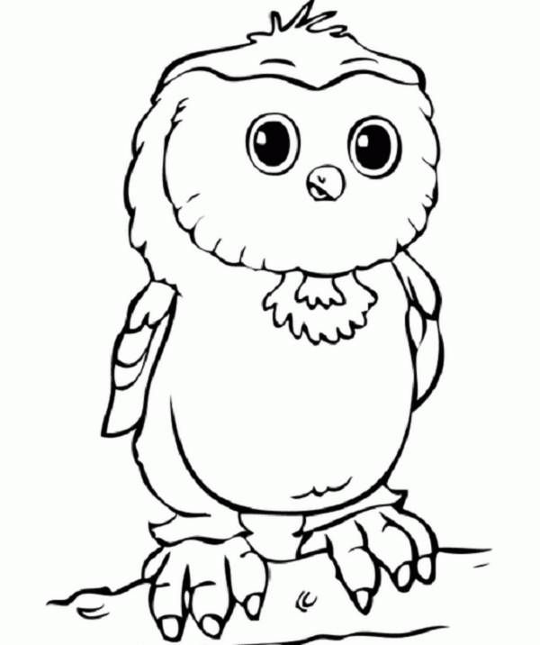 Registrant WHOIS contact information verification | Owl coloring pages, Baby  coloring pages, Bird coloring pages