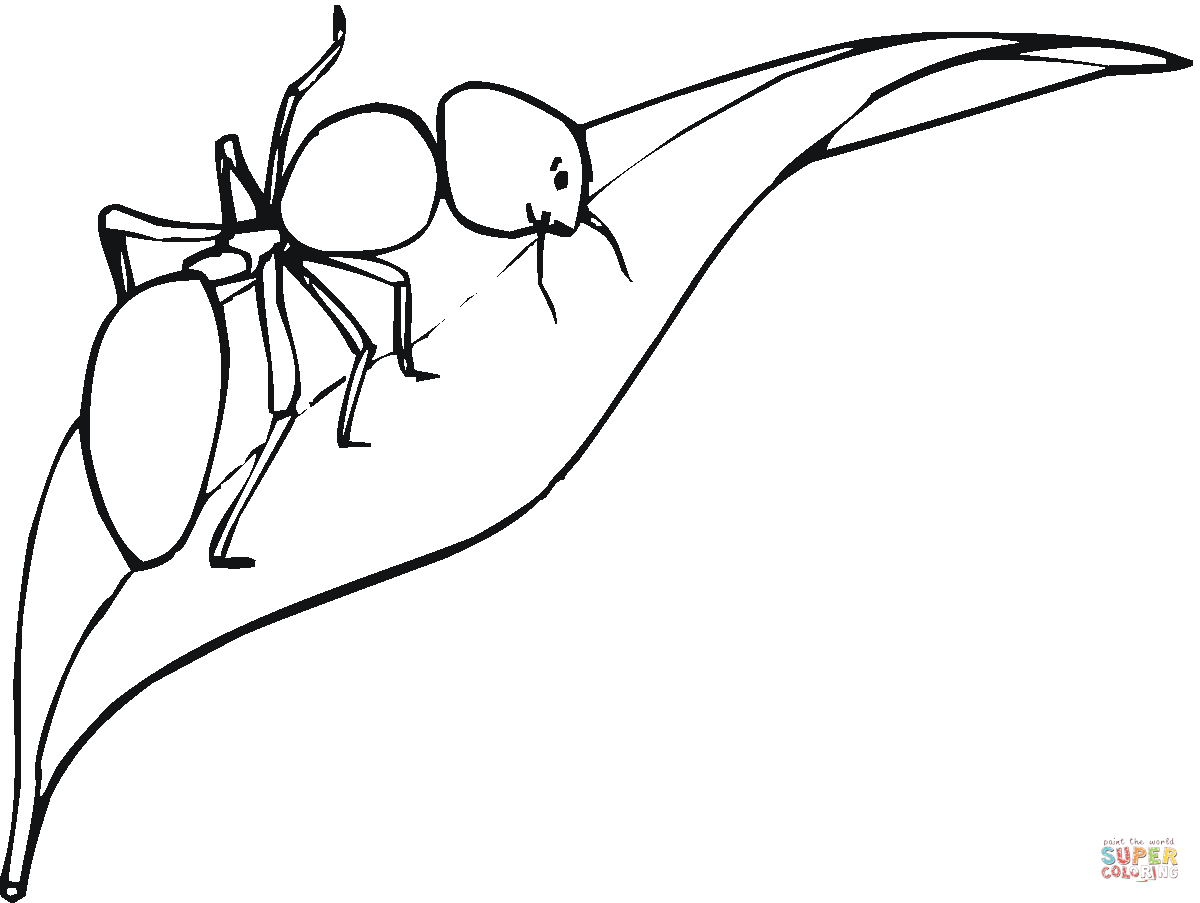 Ants coloring pages | Free Coloring Pages
