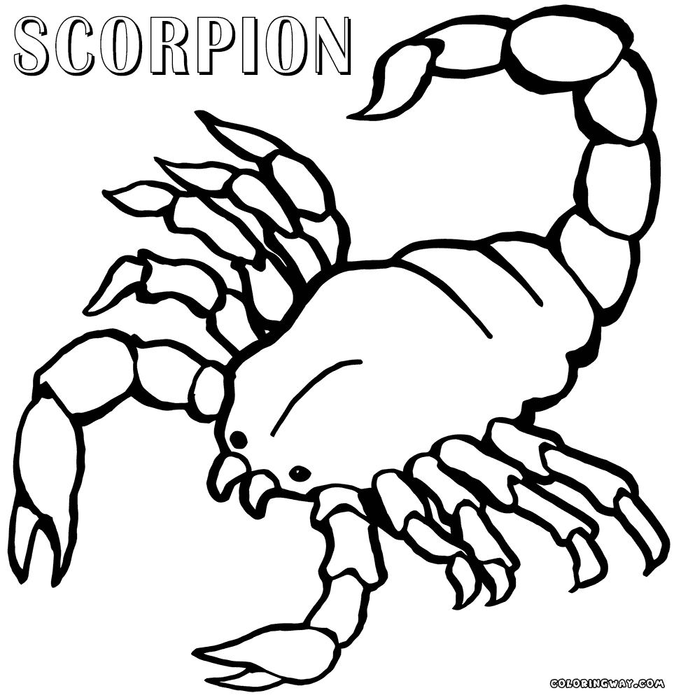 Scorpions Coloring Pages Coloring Home