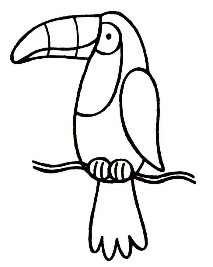 Toucan Coloring Page For Kids