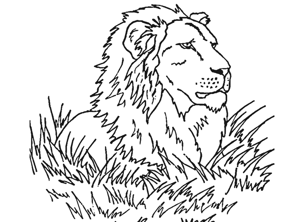 fantasy lion Colouring Pages