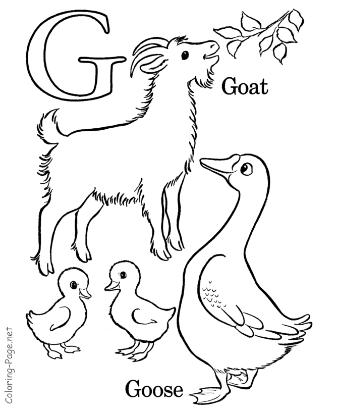 Alphabet coloring book pages - Letter G