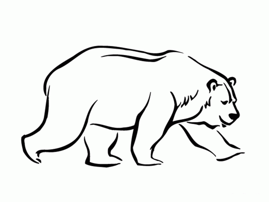 Standing Black Bear Drawing | Clipart Panda - Free Clipart Images