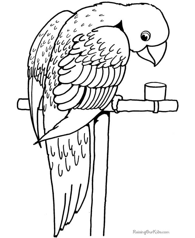 lily coloring page super