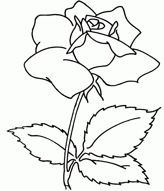 Flowers Coloring Pages : Spray Flower Coloring Sheets For Adults 