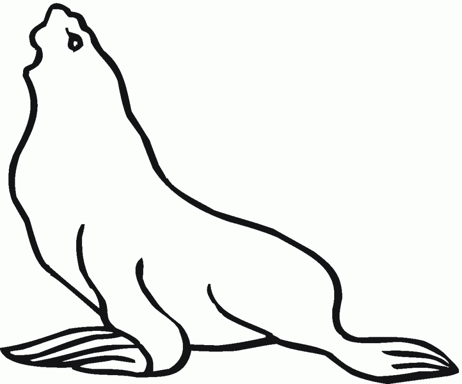 Sea Lion Coloring Pages Coloring Pages Coloring Pages For Adults 