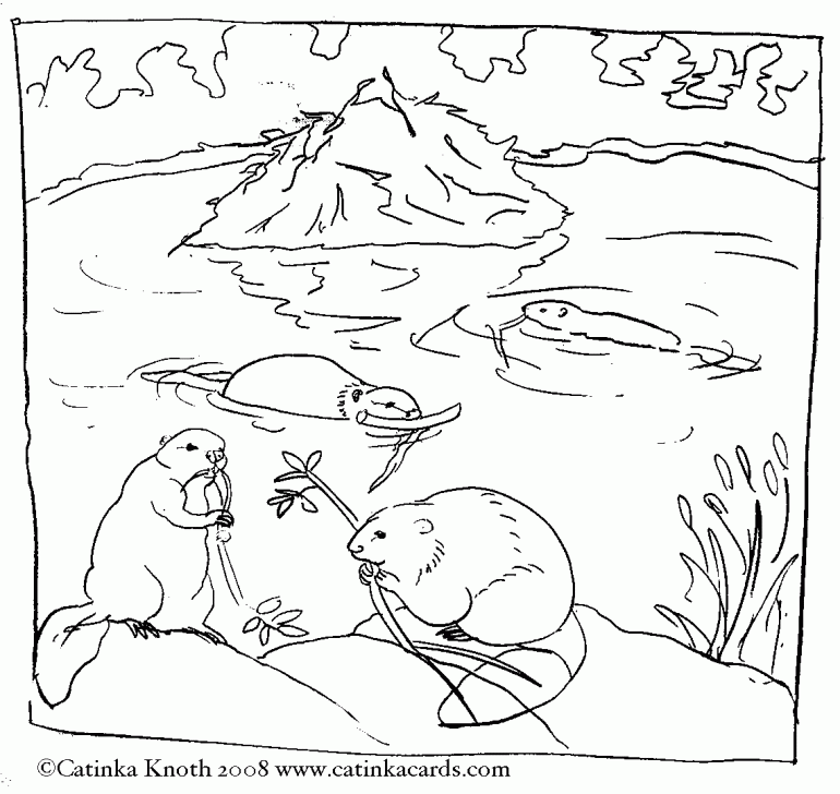 Beavers Coloring Pages | Online Coloring Pages