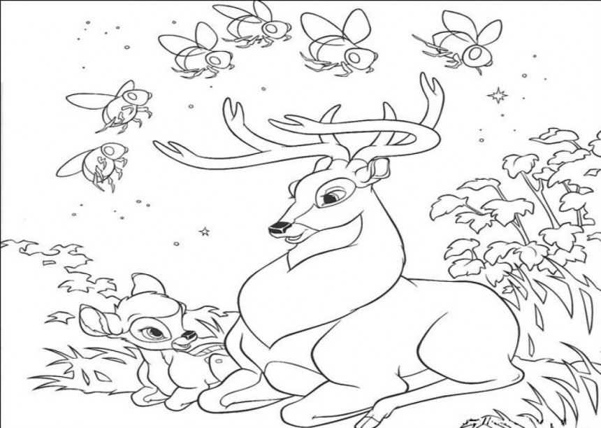 Printable Deer Coloring Pages | animalgals