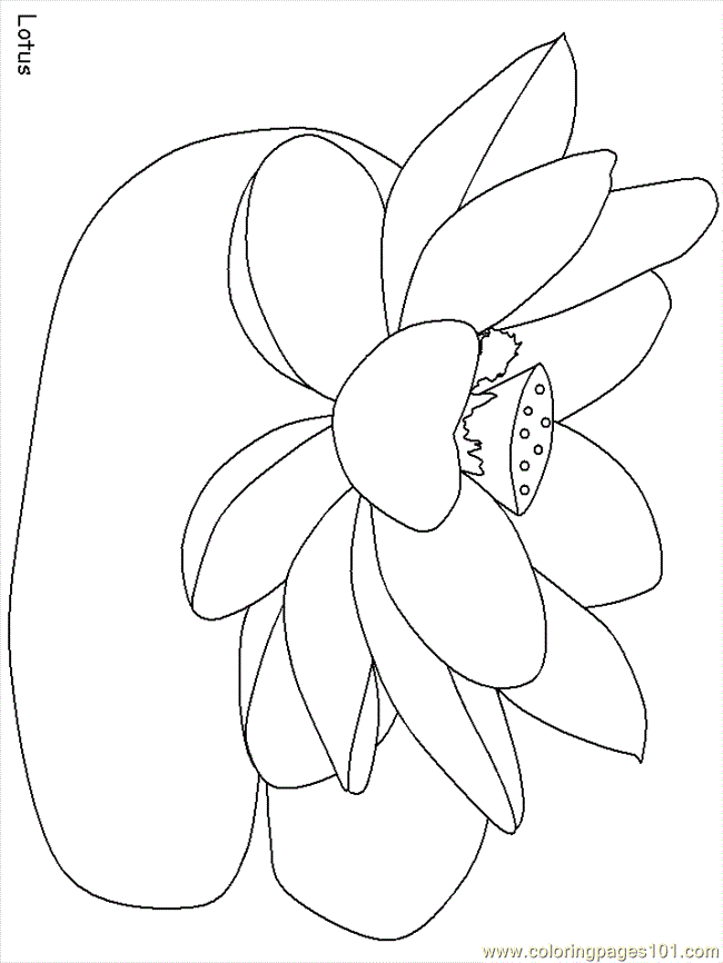 Coloring Pages India Lotus (Countries > India) - free printable 