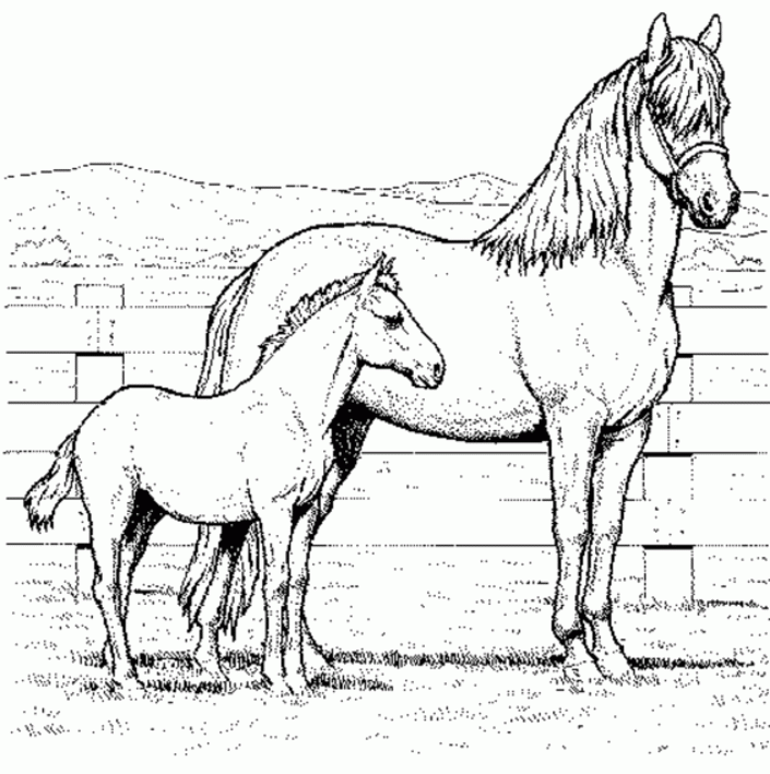 Lovely Realistic Horse Coloring Pages As Well As Free Printable ...