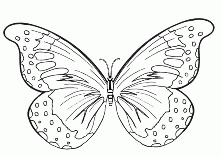 Free Online Printable Kids Colouring Pages - Butterfly Wings ...