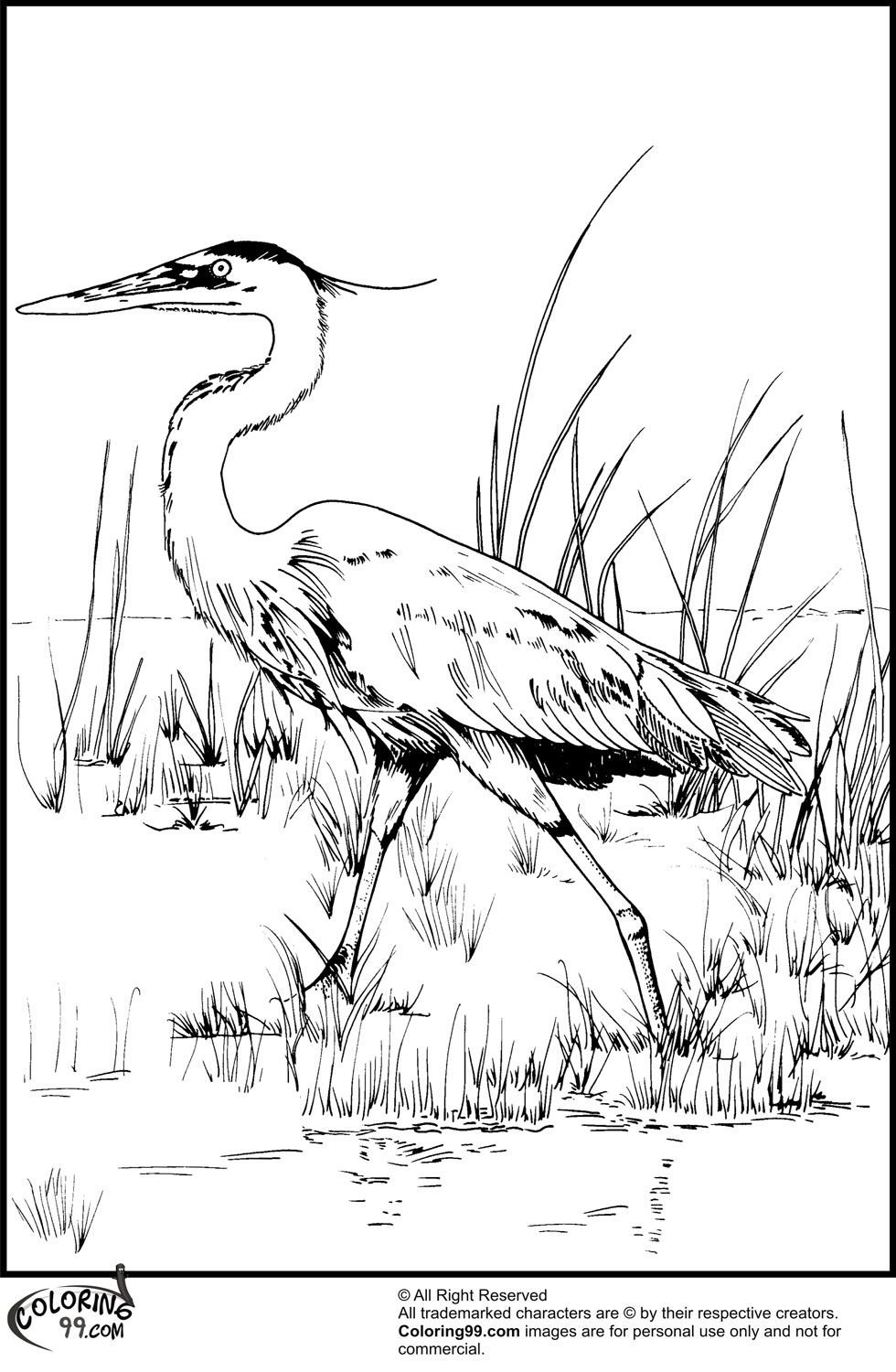 Great Blue Heron - Coloring Home