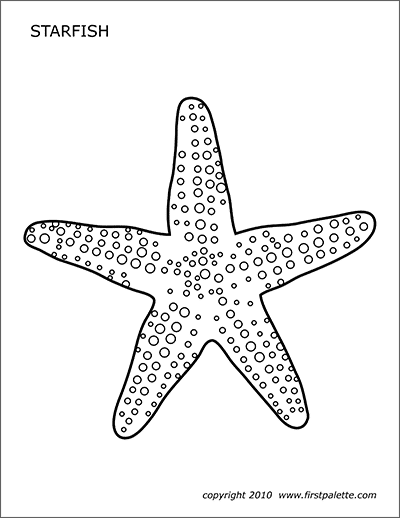 Starfish | Free Printable Templates & Coloring Pages | FirstPalette.com