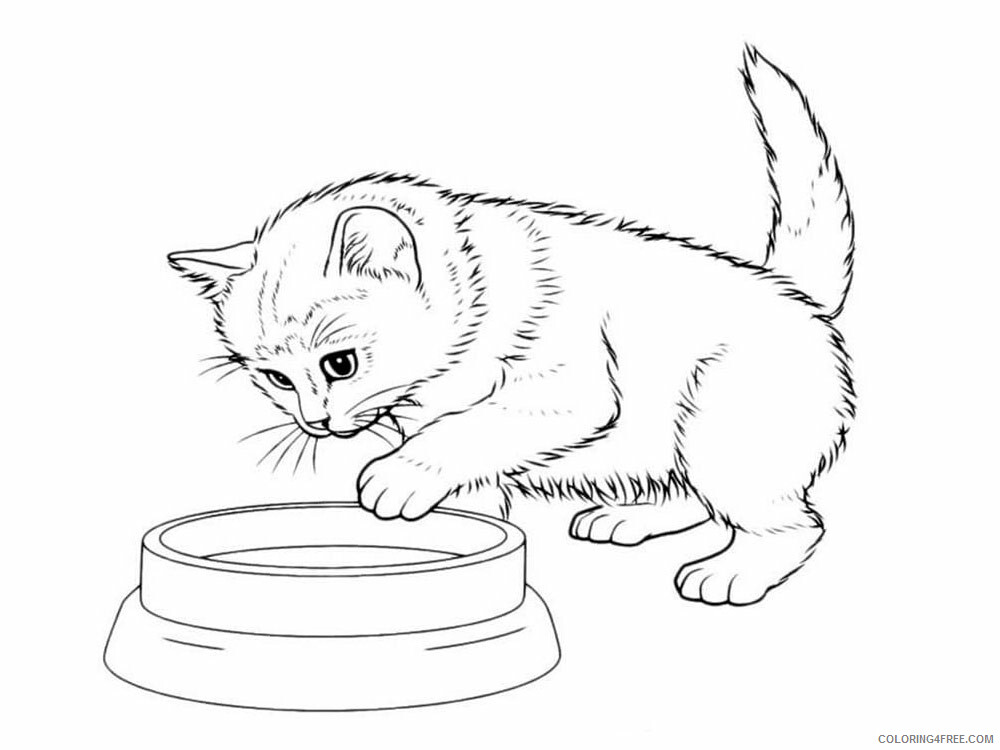 Coloring Pages | Cute Cat Coloring Pages