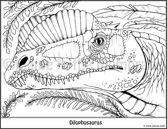 Dinosaur Coloring Pages Printable Coloring Pages Kids - Etsy