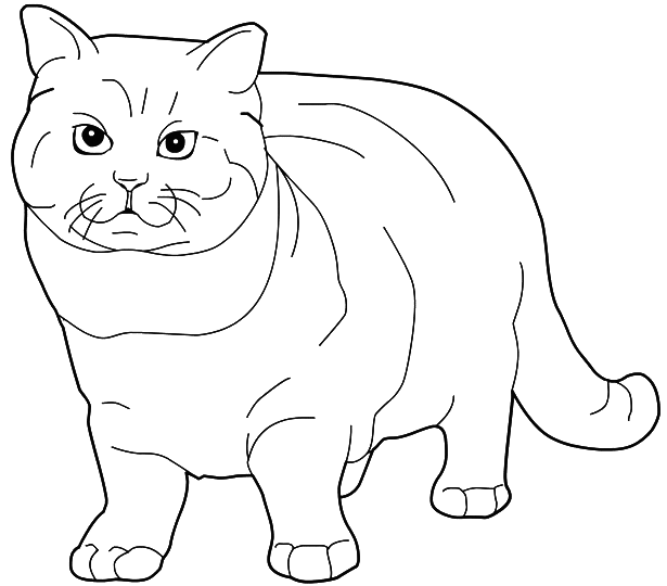 Cats Fat Cats to color coloring pages