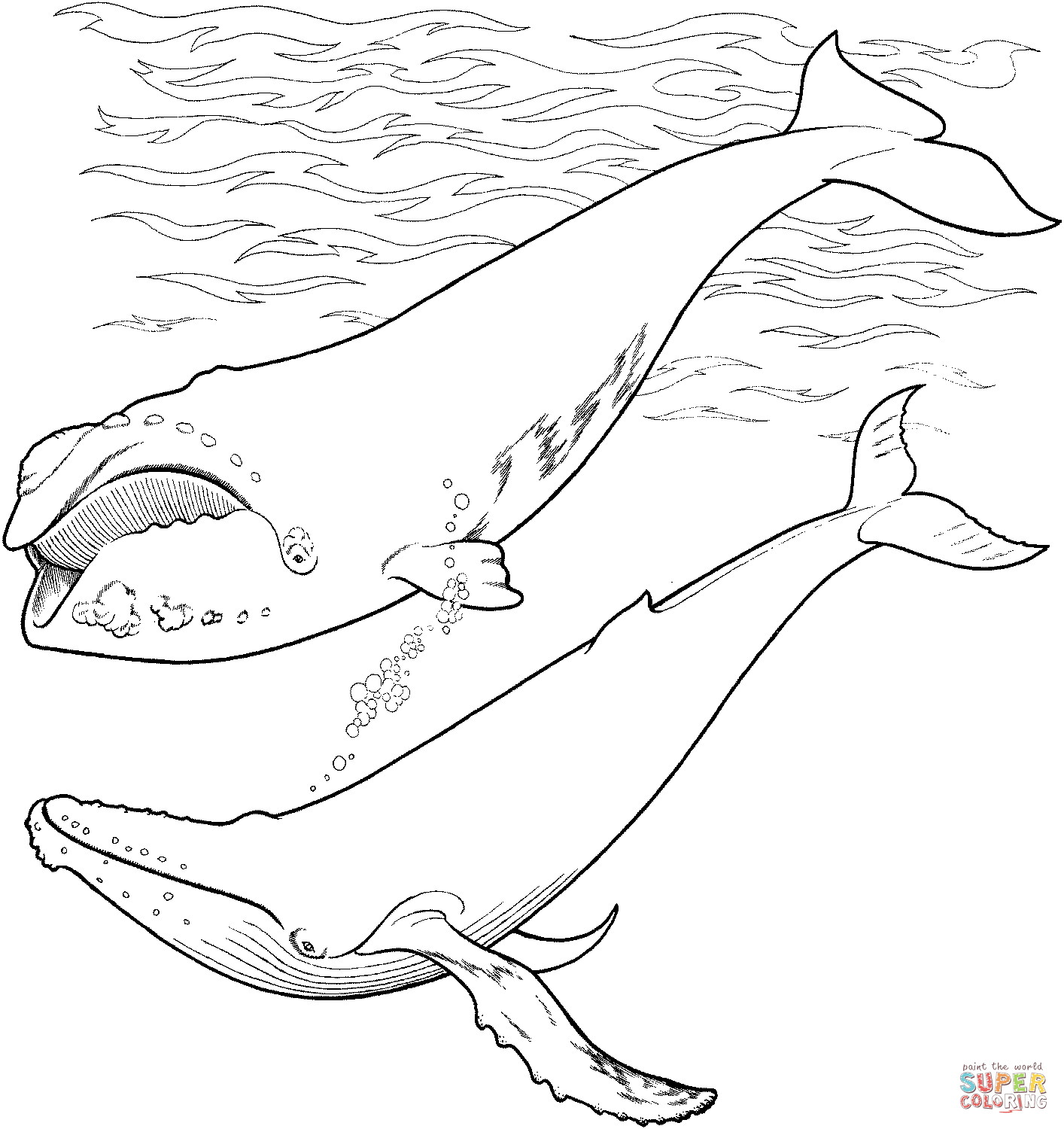 Arctic Animals Coloring Pages | Free Printable Pictures - Coloring Home