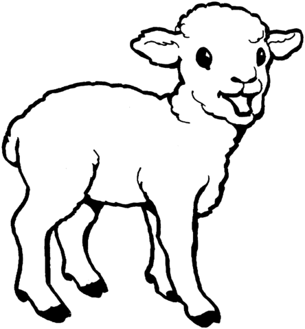 little lambs ministry free coloring pages