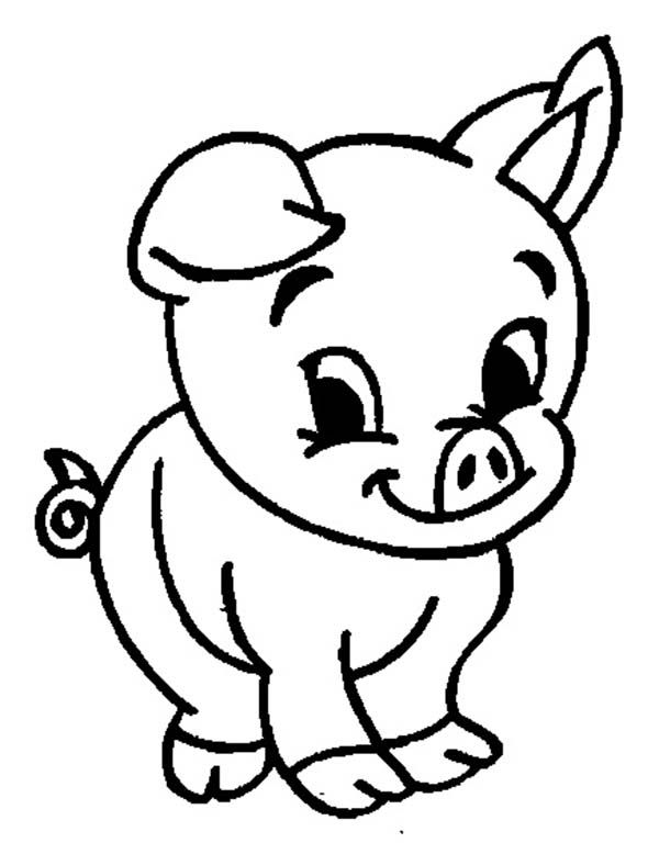 Coloring Pig Cute Baby Pigs Animal Solve My Math Problem With Steps Free  Convert Fraction Pig Face Coloring Pages Coloring close to 100 math game  classifying shapes worksheet kuta geometry worksheets are