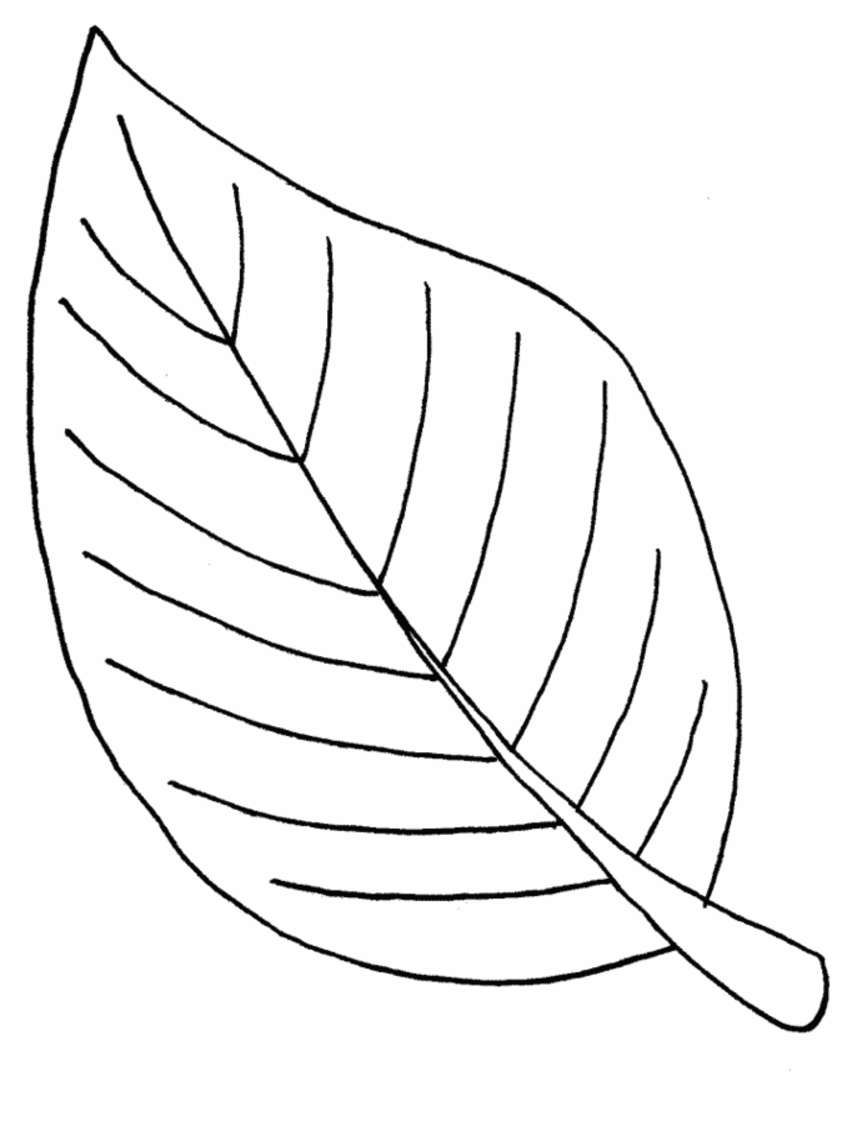 Free Leaf Printable Coloring Pages - High Quality Coloring Pages