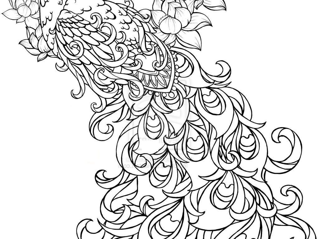 Peacock Coloring Pages - VoteForVerde.com