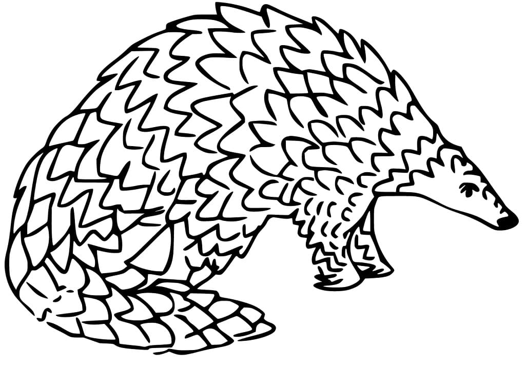 Pangolin Coloring Pages - Free Printable Coloring Pages for Kids