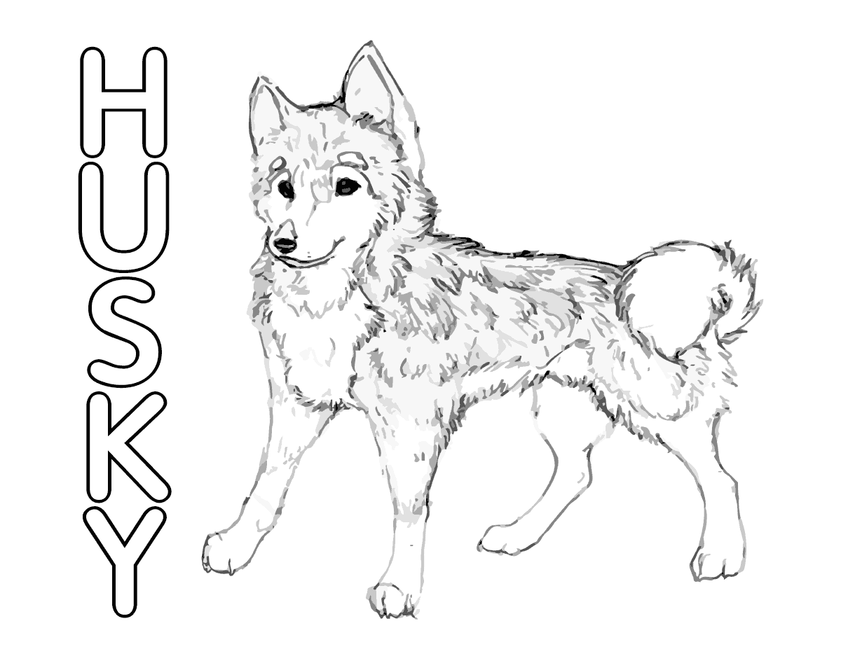 Alaskan Husky Coloring Pages : Top 10 Printable Husky Coloring Pages